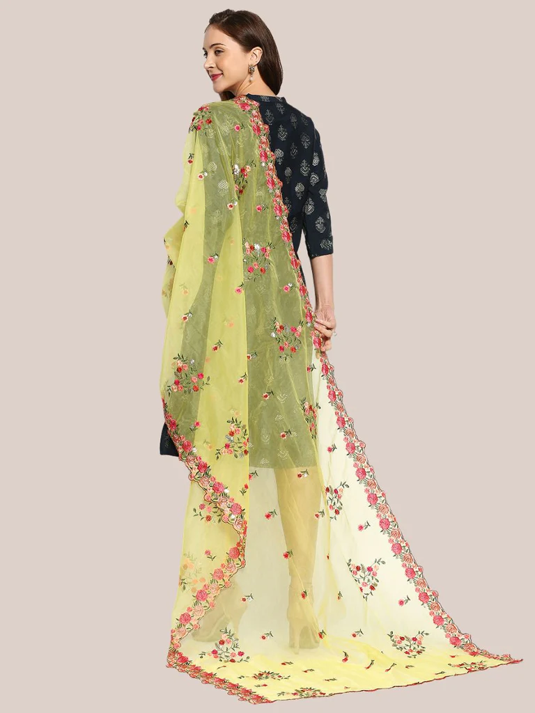 Organza Dupatta with Multicolor Floral Embroidery - Image 4